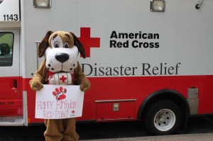 Image result for happy photos of red cross