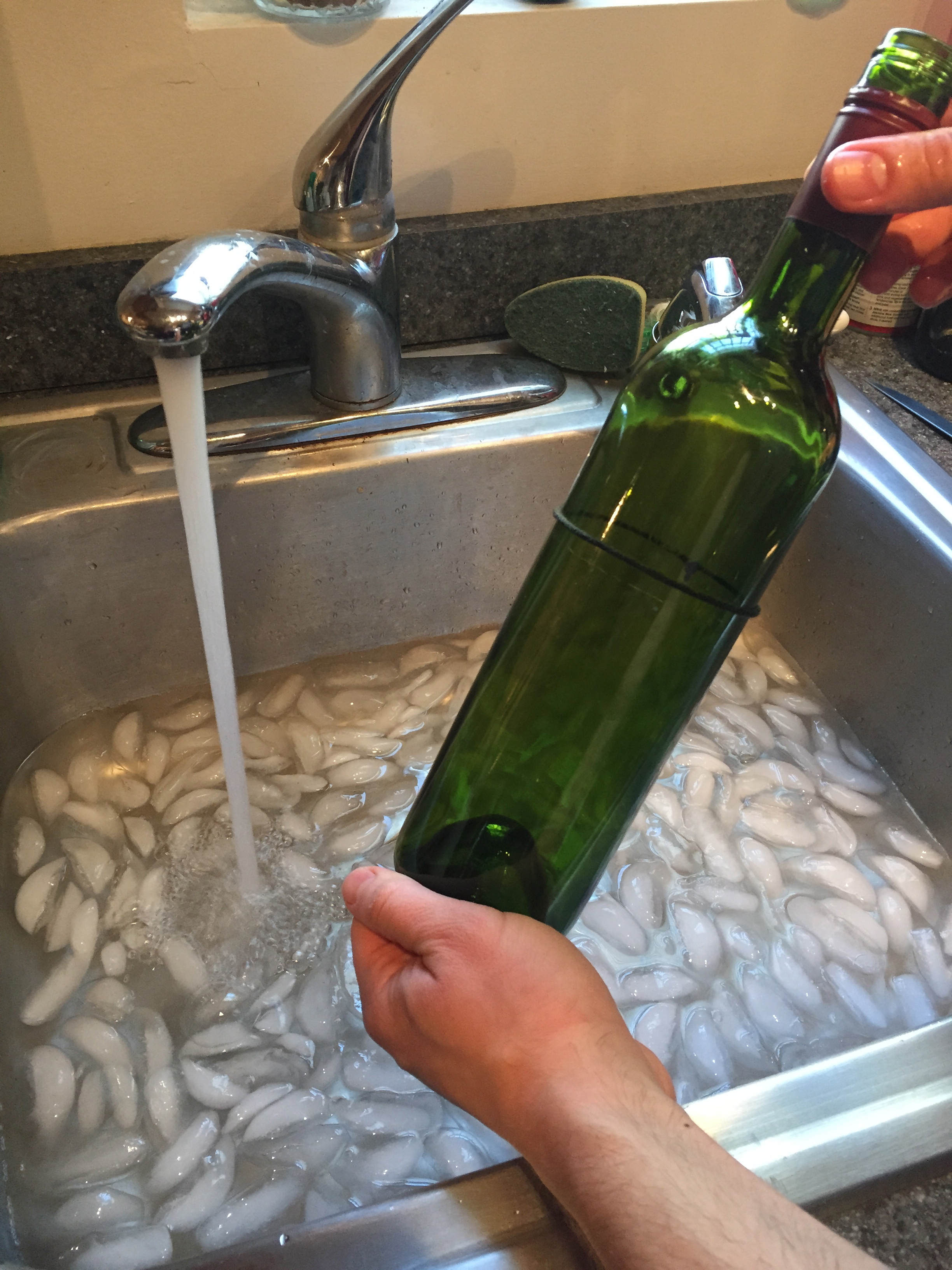 How to Make Recycled Wine Bottles into the Perfect Planter