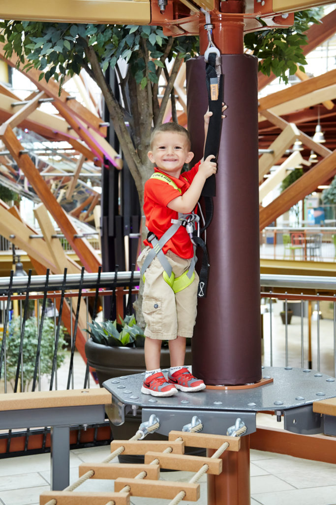 Wild Works Preview – Credit Ropes Courses Inc. (4)
