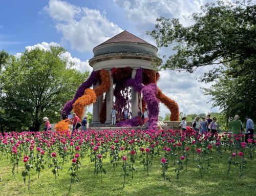 2021 Philadelphia Flower Show- Best Ever!