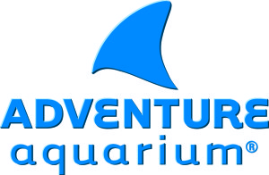 adventure aquarium