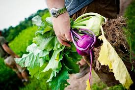 Photo Courtesy of Garces Foundation