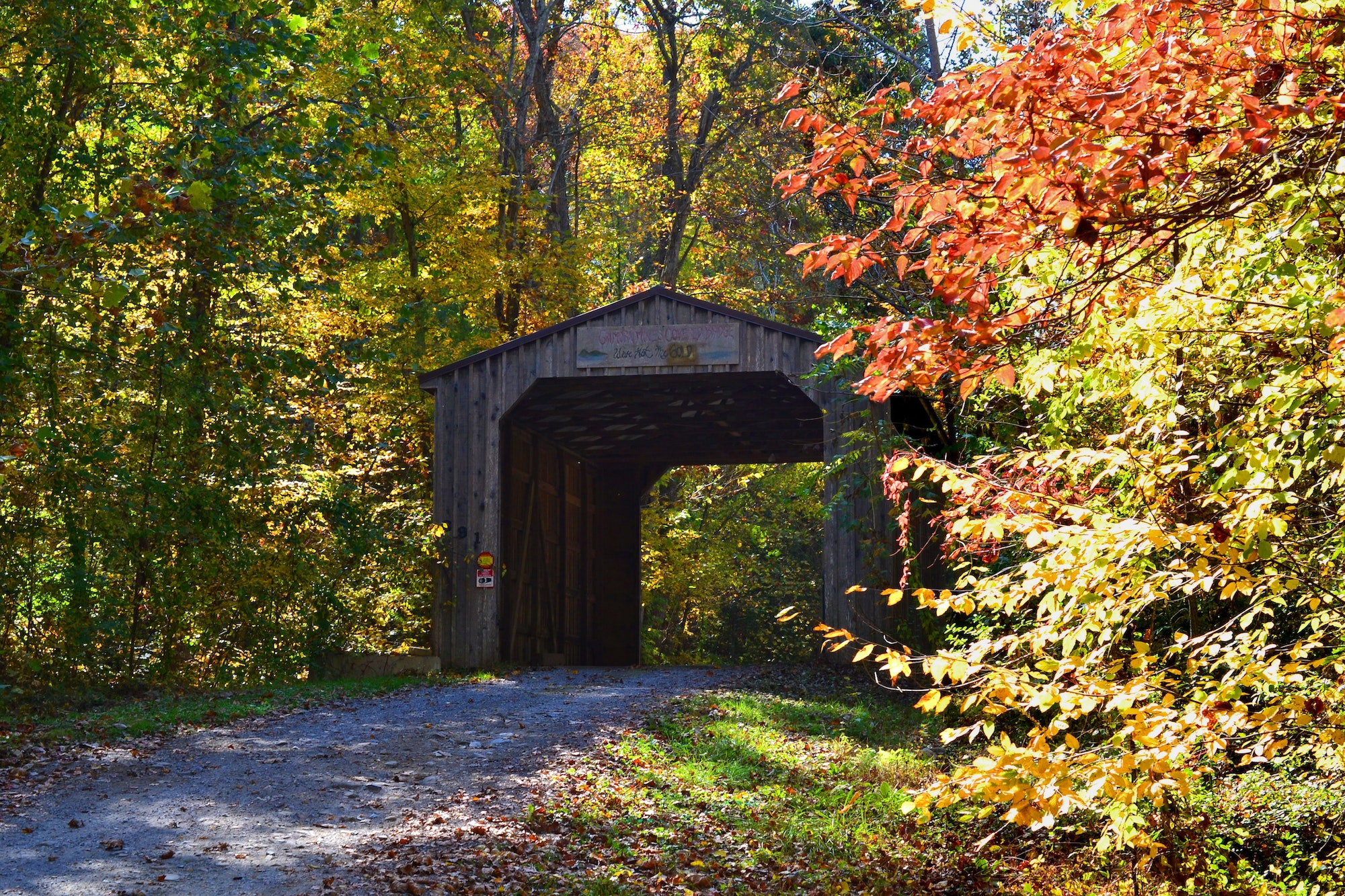 An old wooden covered bridge in the woods full of autumn leaves and fall foliage