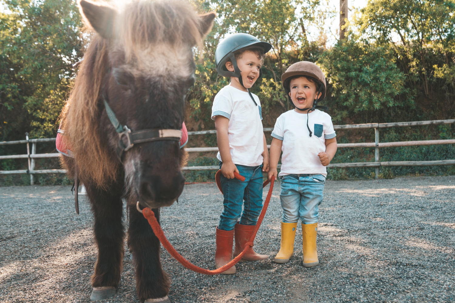 Add These Local Farms to Your Summer Bucket List