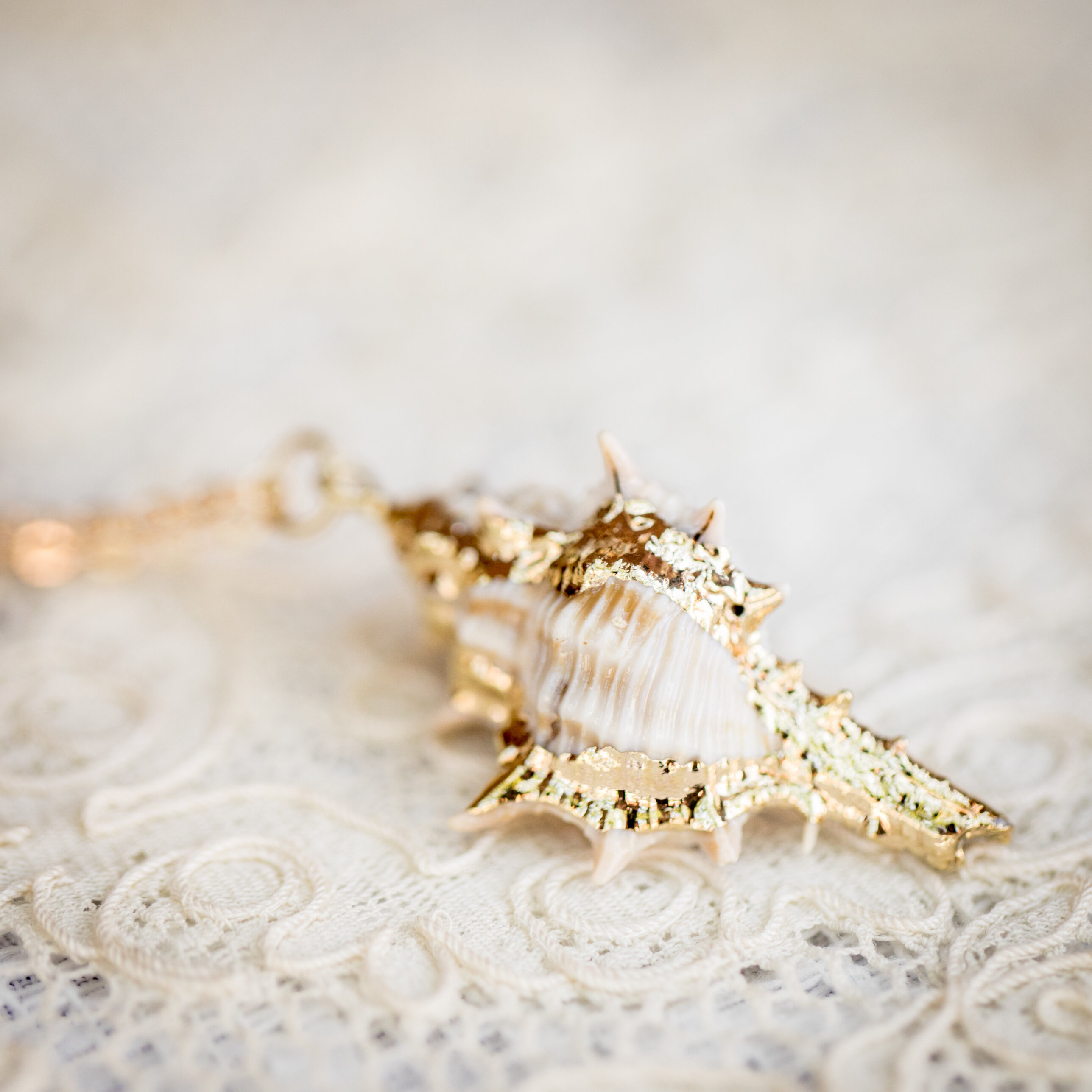 Adorned By Aisha Shell Necklace