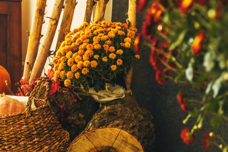 How to Add Cozy, Fall Vibes to Your Home This Season